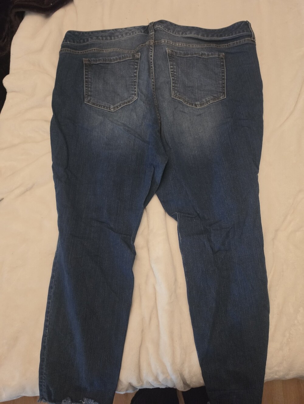 torrid Dark Blue Jeans